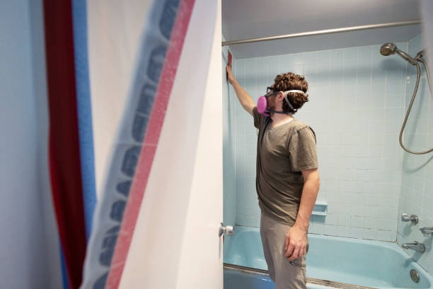 Best Black Mold Removal  in Olivet, MI
