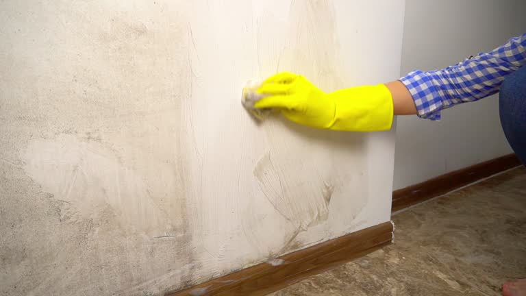 Forensic Mold Investigation in Olivet, MI